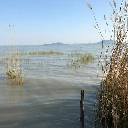 Tieff Apartmanhaz Balatonmariafuerdo Hullamtelep